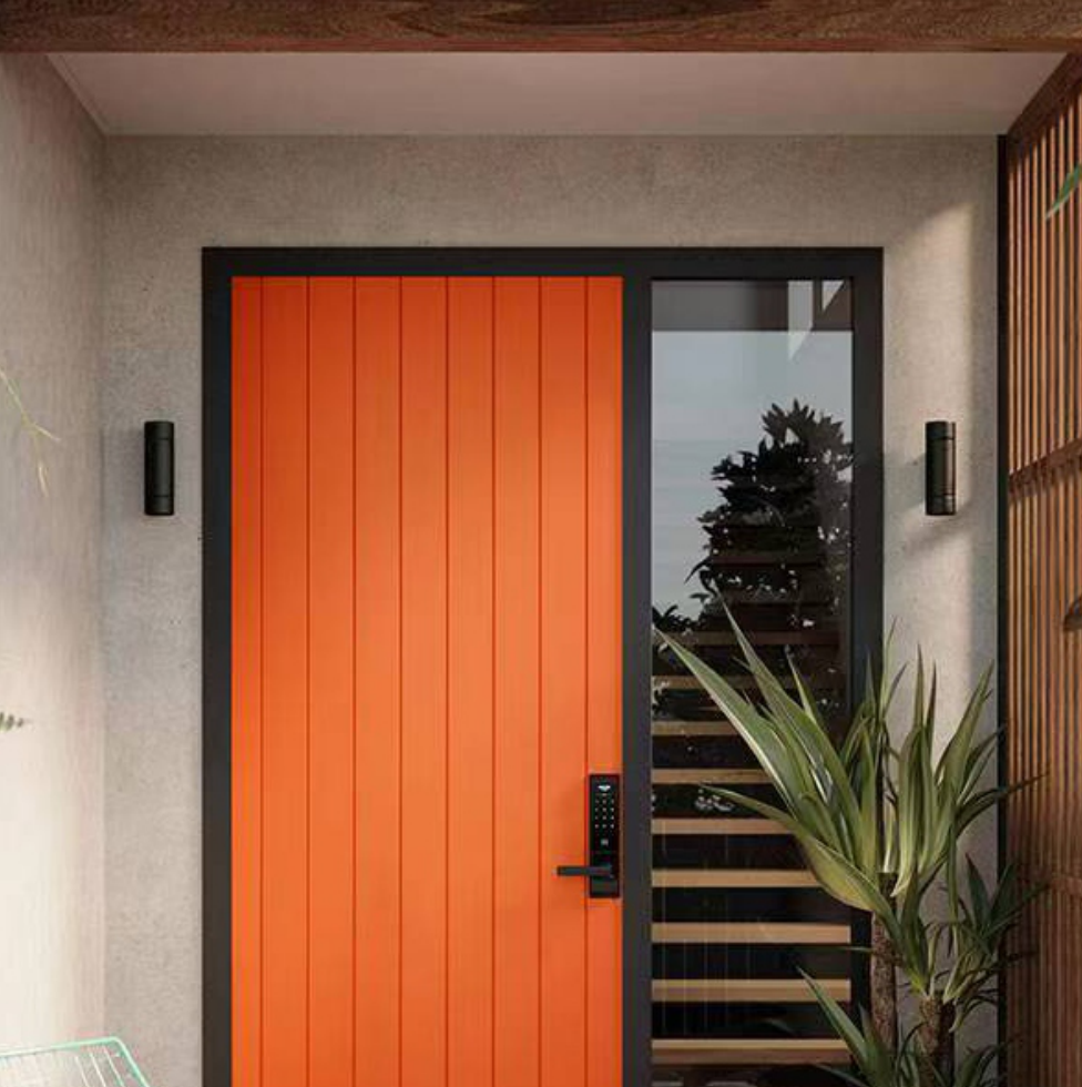 Painted Solid-Color Entry Door